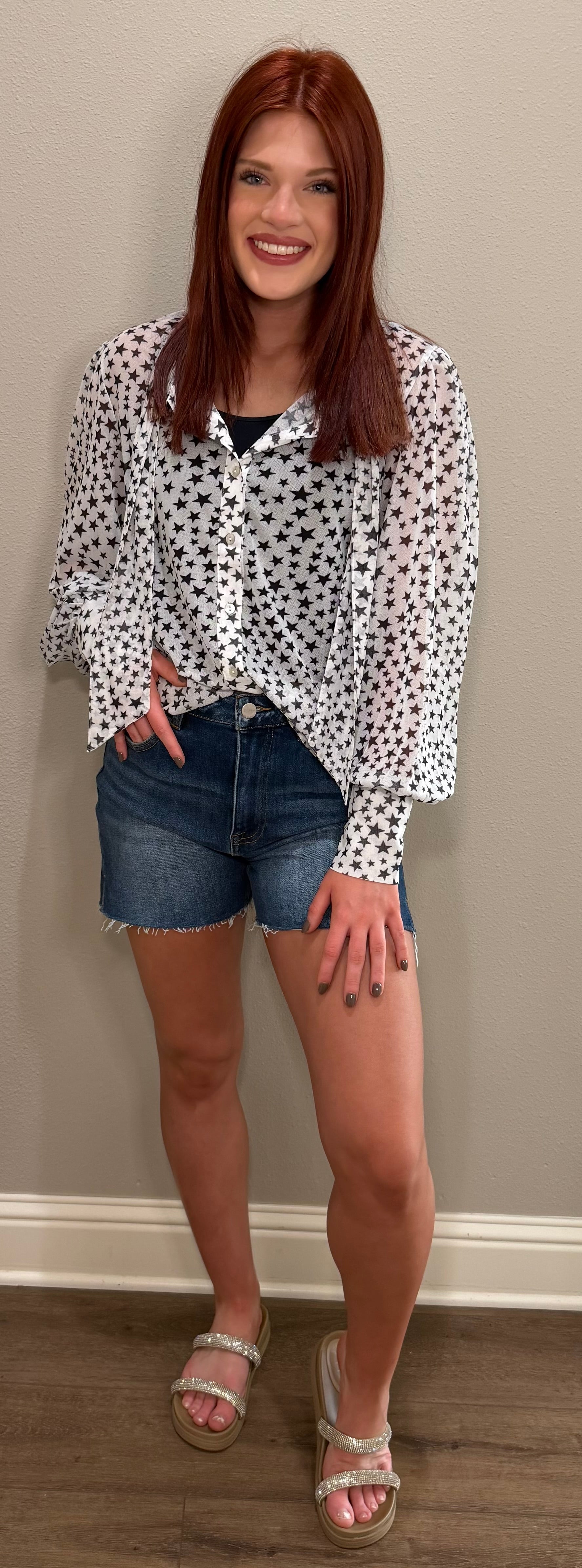 Tiny Star Mesh Tie Button Down Top