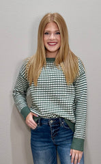 Sage & Cream Checker/Striped Sleeve Knit Sweater